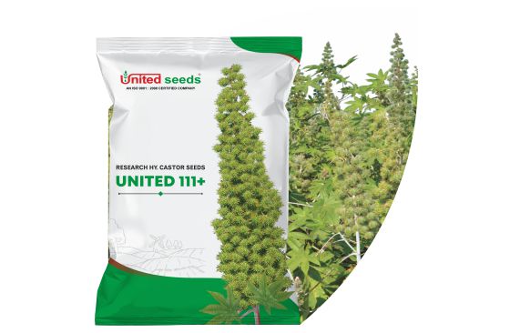 united seeds